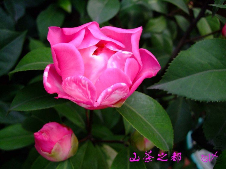 ɽ��֮�� 10-3-13f (2).jpg