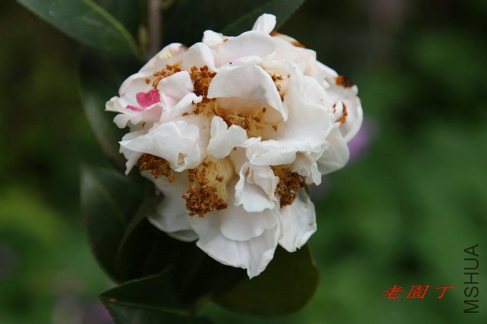 �����u���F