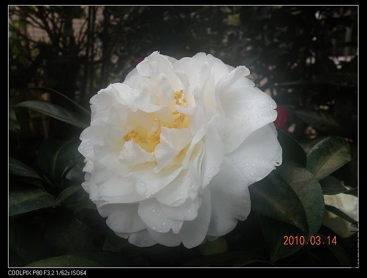DSCN2450.jpg