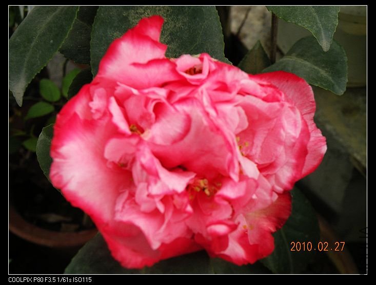 DSCN2370.jpg