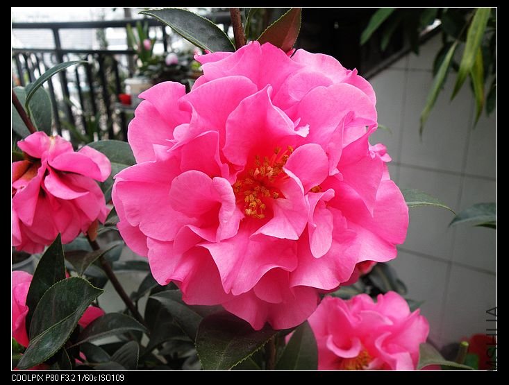 DSCN2296.jpg