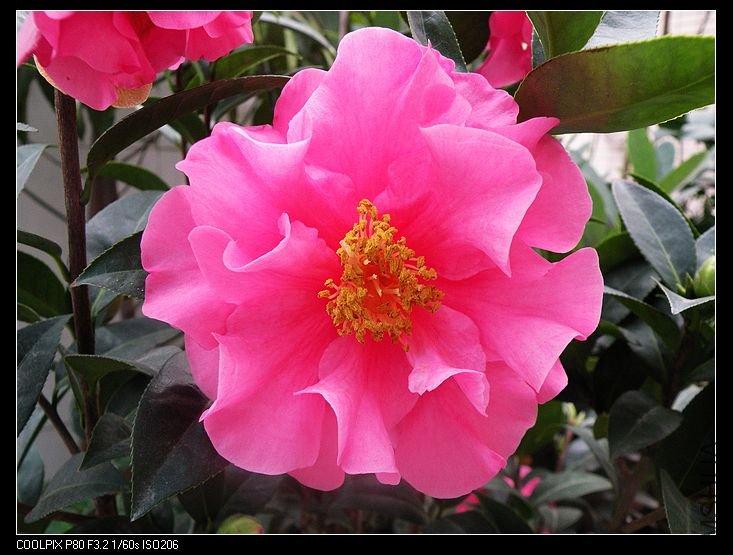 DSCN2298.jpg
