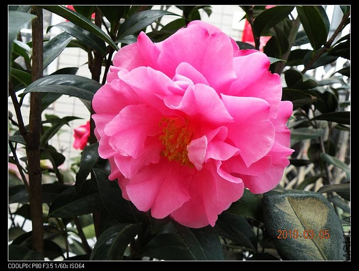DSCN2440.jpg