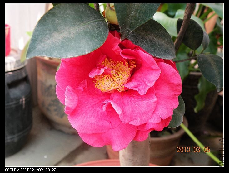 DSCN2431.jpg