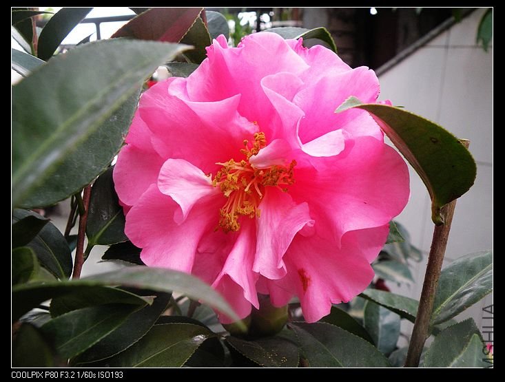 DSCN2297.jpg