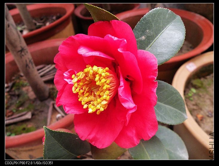 DSCN2265.jpg
