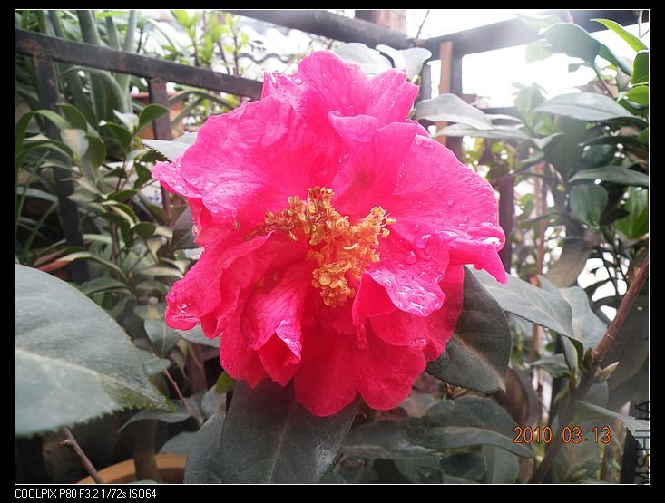 DSCN2442.jpg