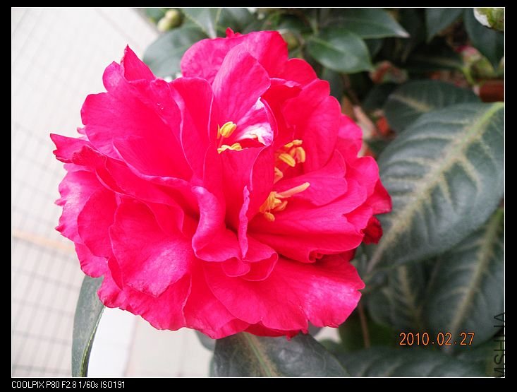 DSCN2384.jpg