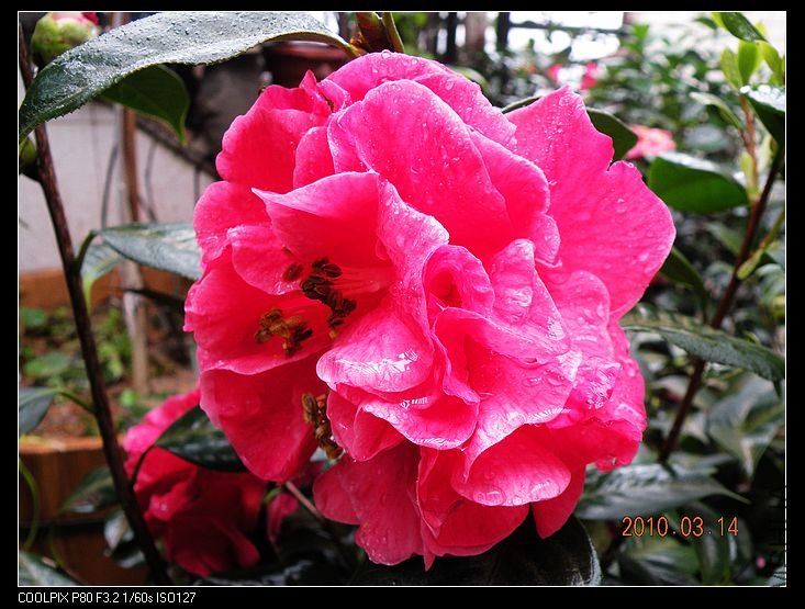 DSCN2457.jpg