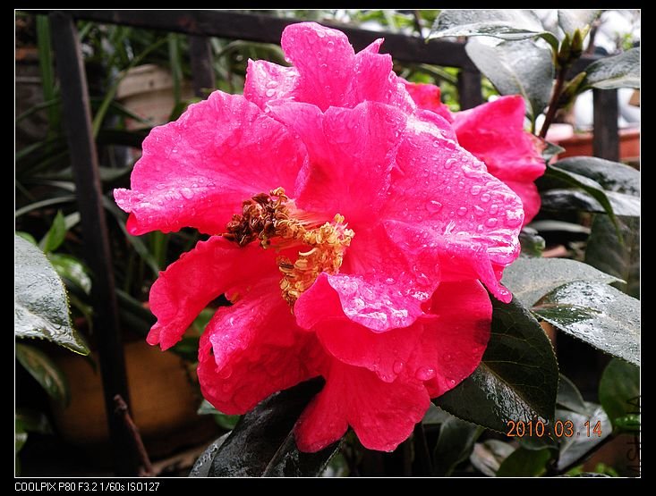 DSCN2459.jpg