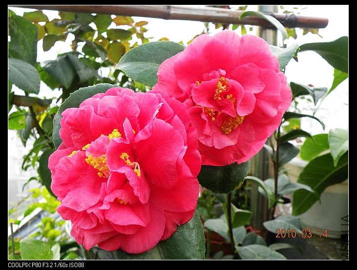 DSCN2456.jpg