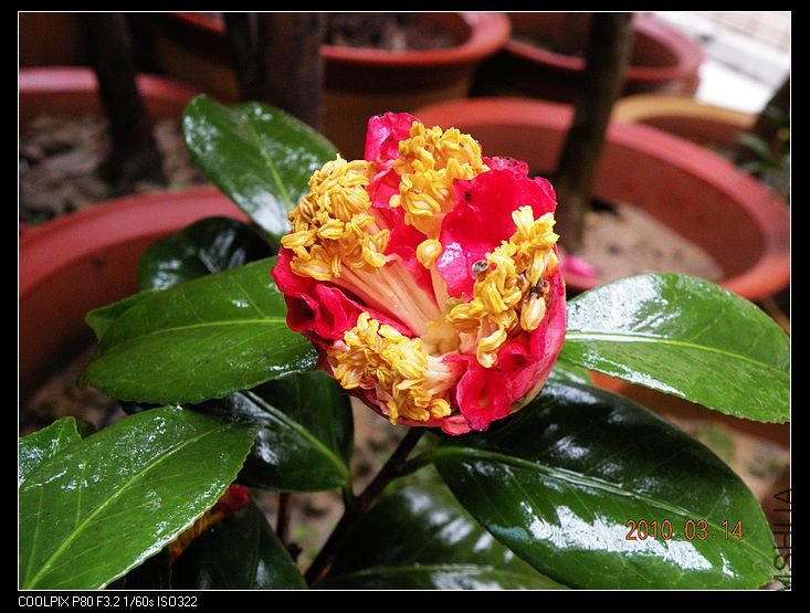 DSCN2464.jpg
