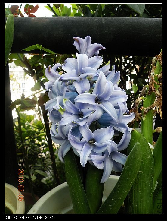DSCN2416.jpg