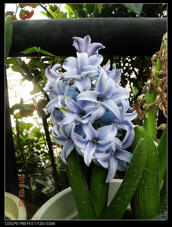 DSCN2417.jpg