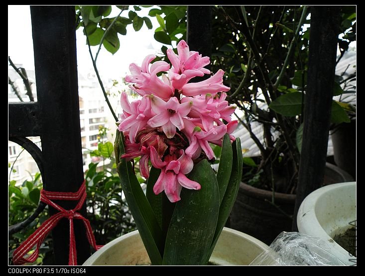 DSCN2031.jpg
