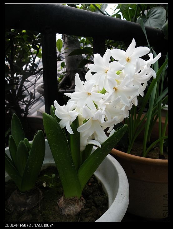 DSCN2282.jpg