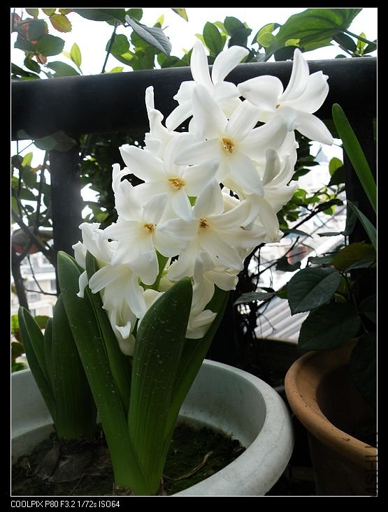 DSCN2281.jpg