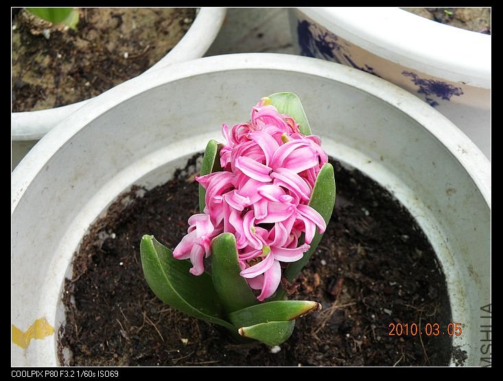 DSCN2430.jpg
