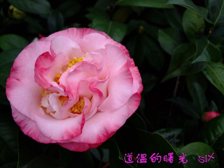 ���µ���� 10-3-14f (1).jpg