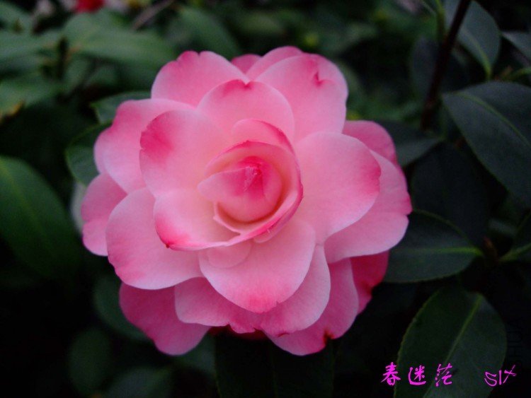 ����ã 10-3-14f (1).jpg