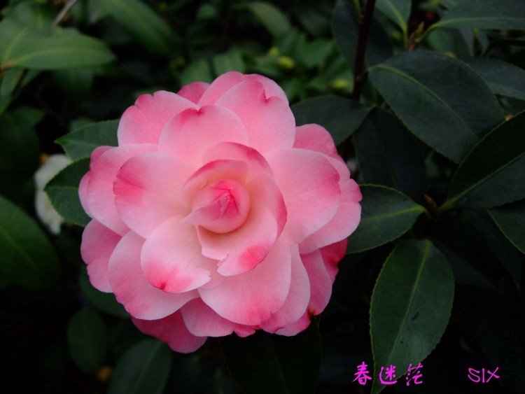 ����ã 10-3-14f (3).jpg