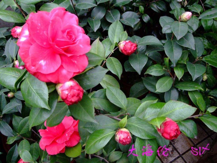 ���� 10-3-14f (4).jpg