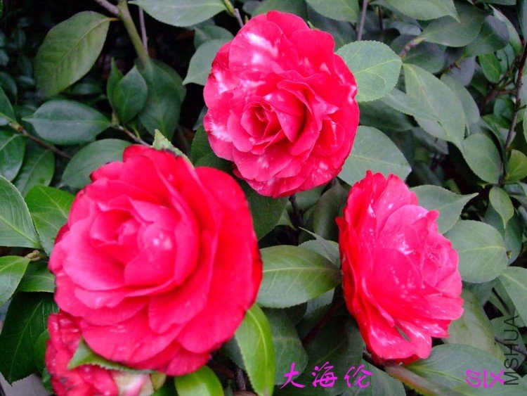 ���� 10-3-14f (2).jpg