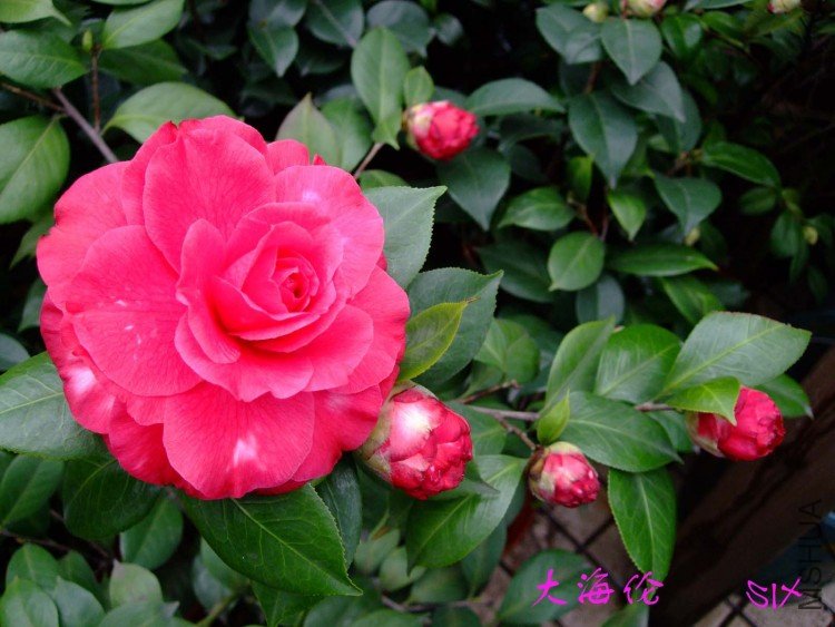 ���� 10-3-14f (3).jpg