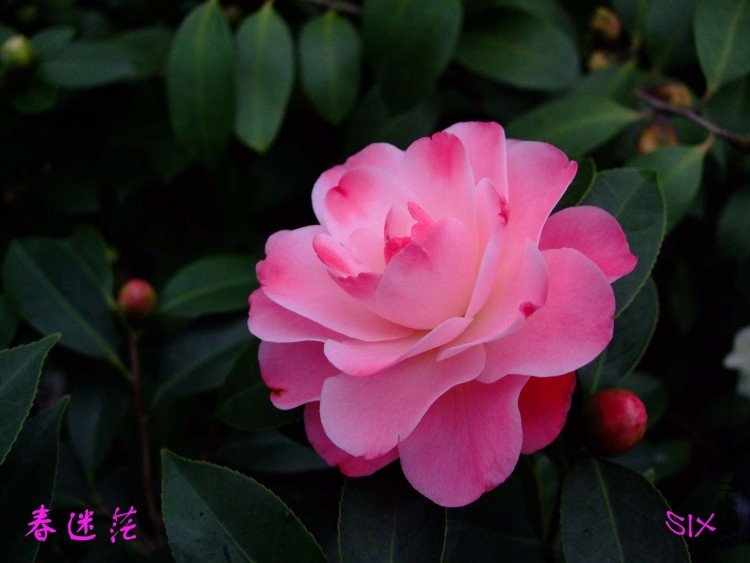 ����ã 10-3-14f (2).jpg