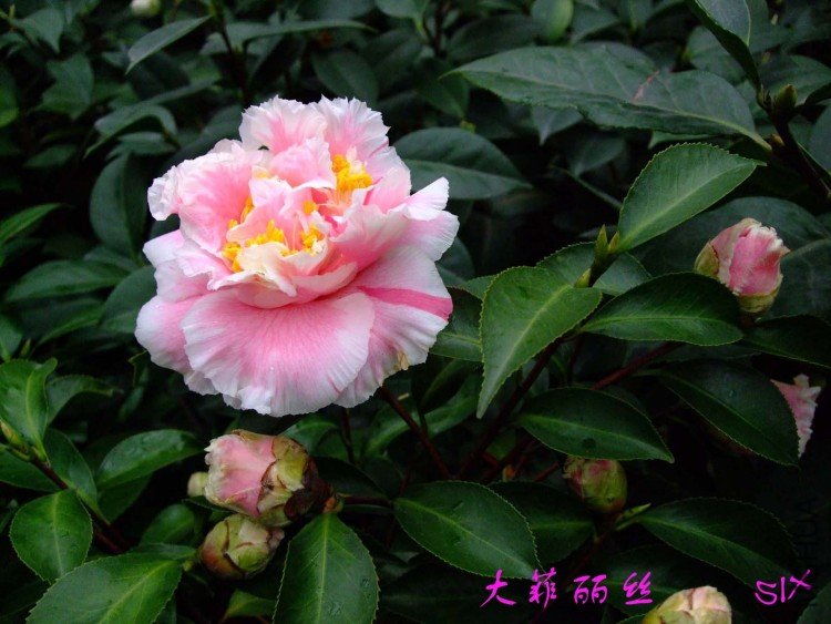 �����˿ 10-3-14f (2).jpg