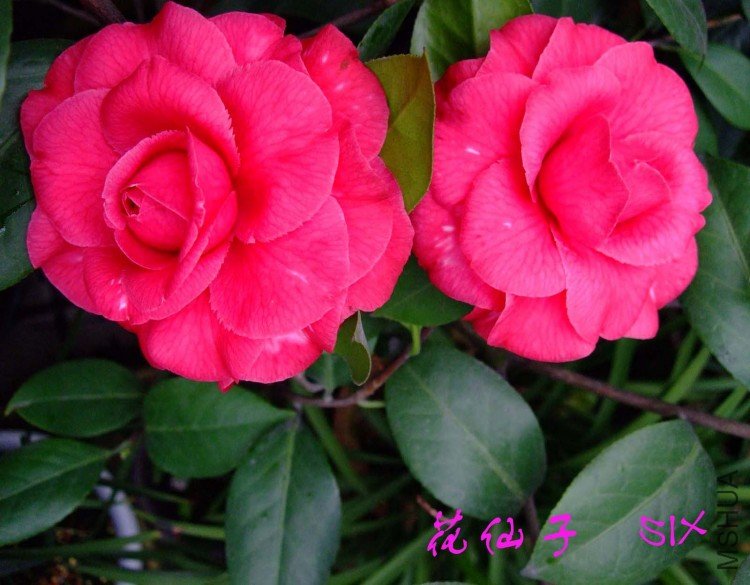 ������ 10-3-14f (1).jpg