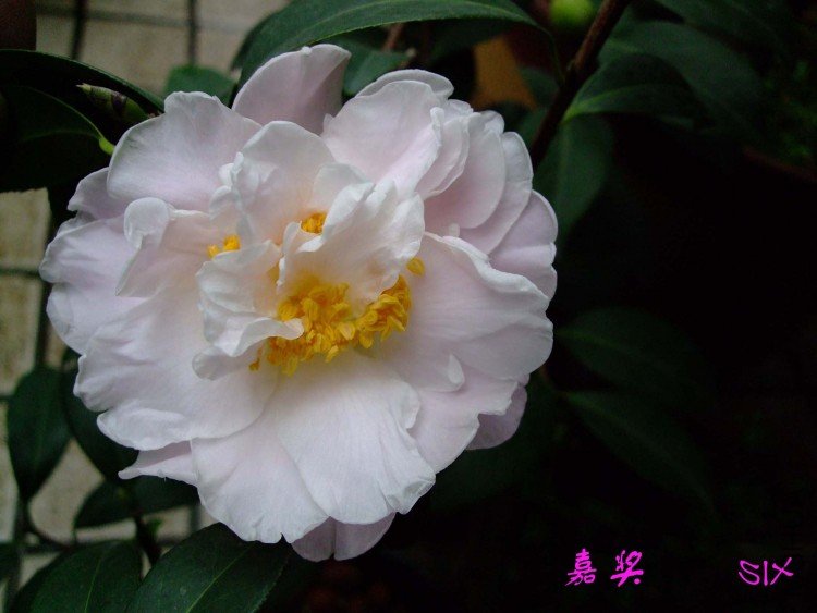 �ν� 10-3-14f (1).jpg