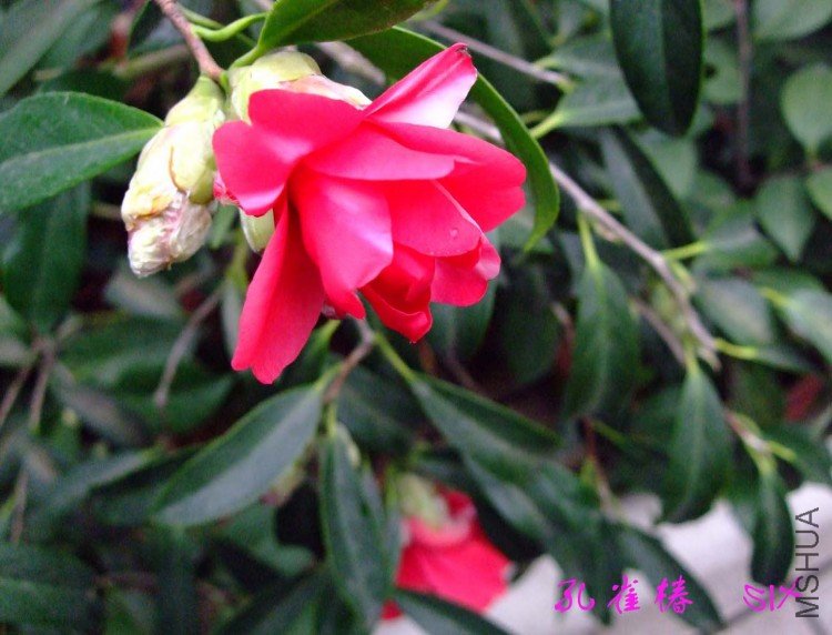 ��ȸ�� 10-3-14f (2).jpg