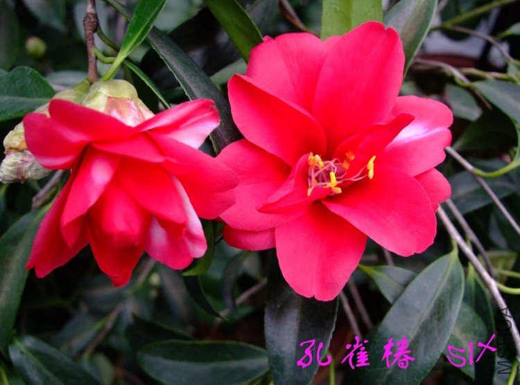 ��ȸ�� 10-3-14f (3).jpg