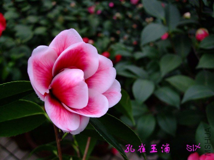 ��ȸ���� 10-3-14f (2).jpg