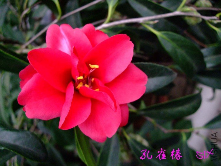 ��ȸ�� 10-3-14f (1).jpg