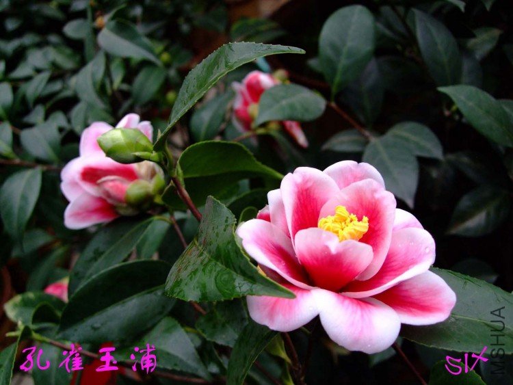 ��ȸ���� 10-3-14f (3).jpg