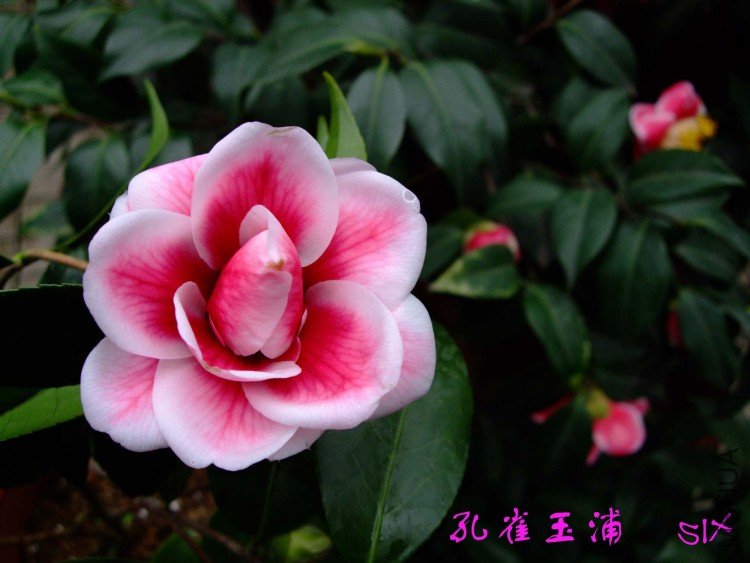 ��ȸ���� 10-3-14f (4).jpg