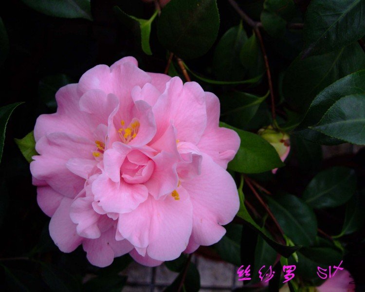 ˿ɴ�� 10-3-14f (1).jpg