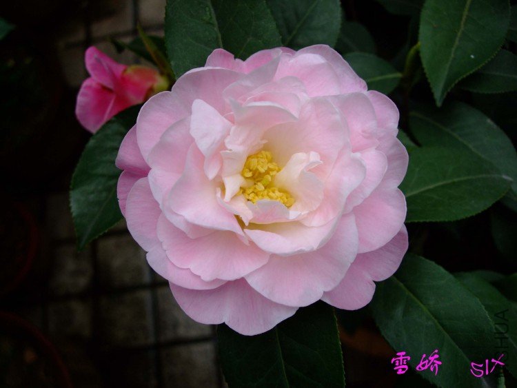 ѩ�� 10-3-14f (1).jpg