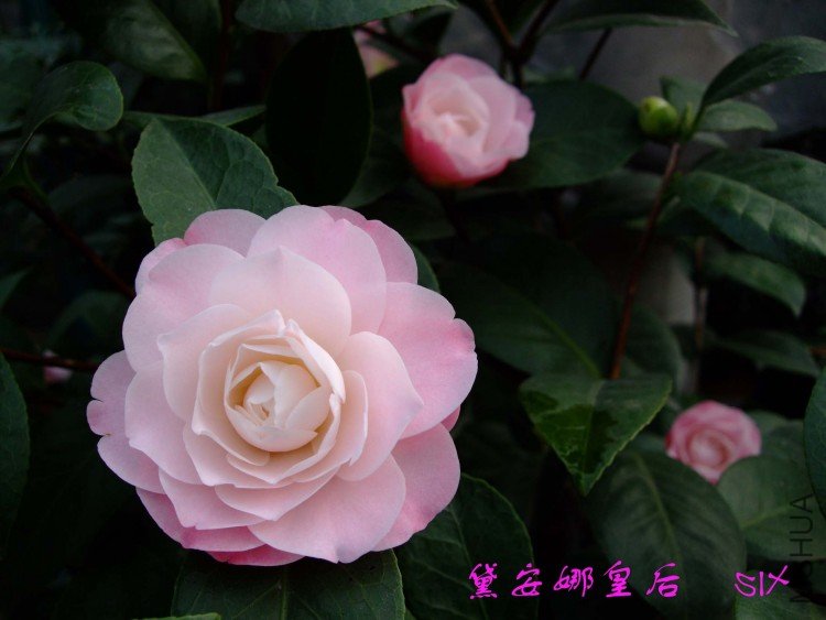 �찲�Ȼʺ� 10-3-14.jpg