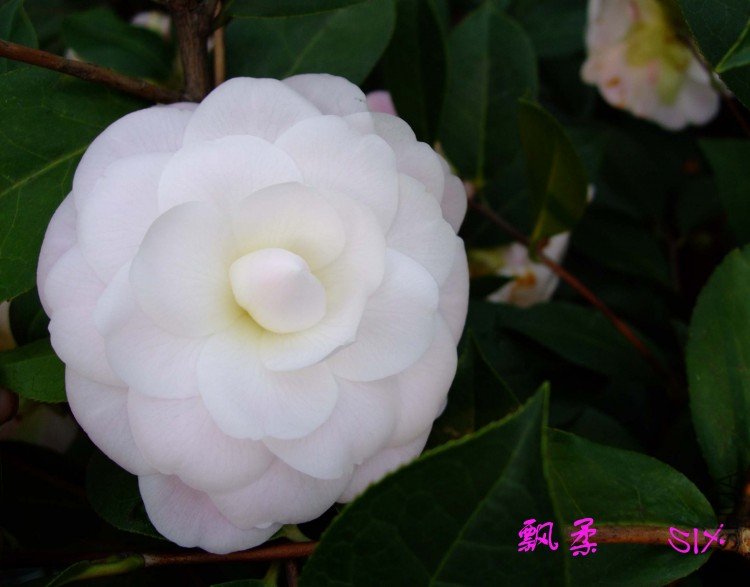 Ʈ�� 10-3-14.jpg