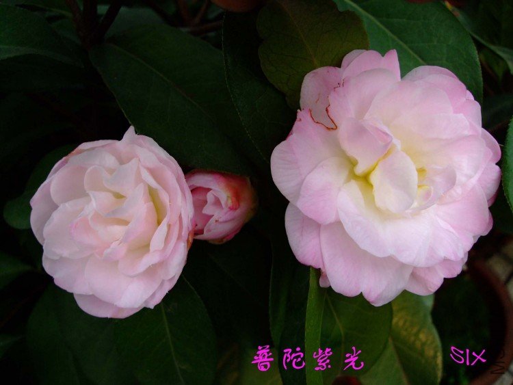 ���� 10-3-14.jpg