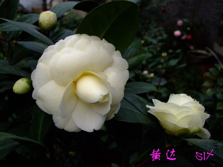 �ƴ� 10-3-14.jpg