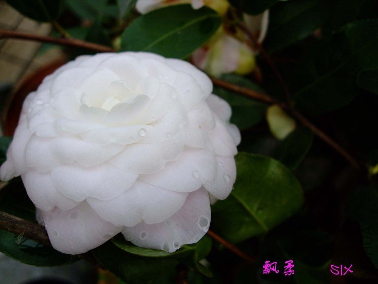 Ʈ�� 10-3-14 (1).jpg