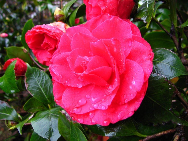 2010.03.14.�軨�� 005.jpg