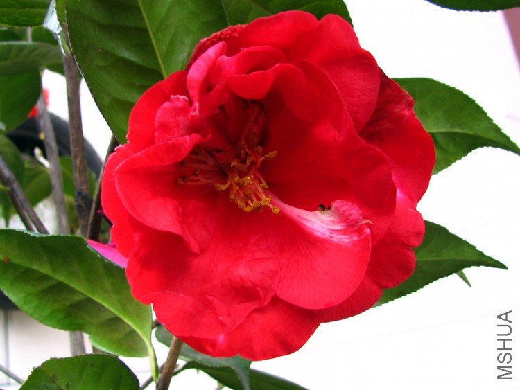 2010.03.14.�軨�� 014.jpg