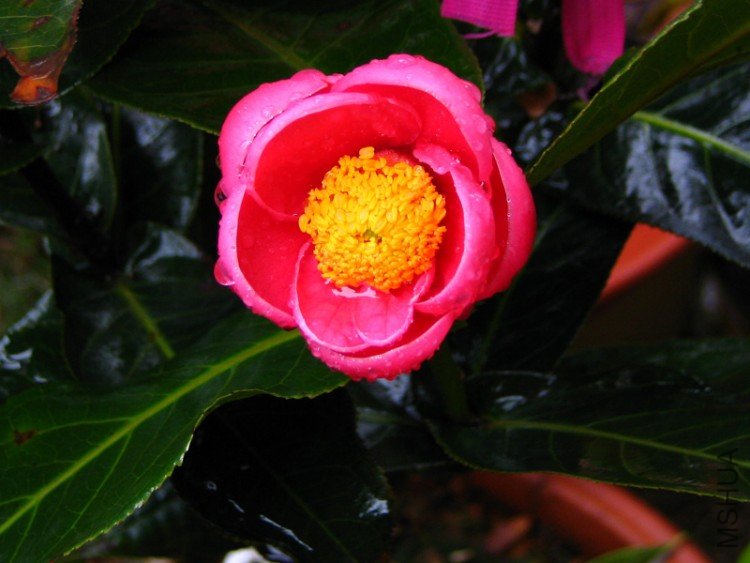 2010.03.14.�軨�� 044.jpg