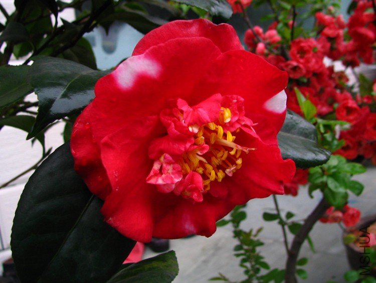 2010.03.14.�軨�� 055.jpg