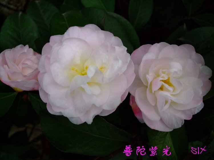 �����Ϲ�10-3-15 (3).jpg